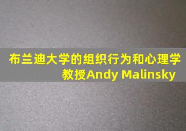 布兰迪大学的组织行为和心理学教授Andy Malinsky